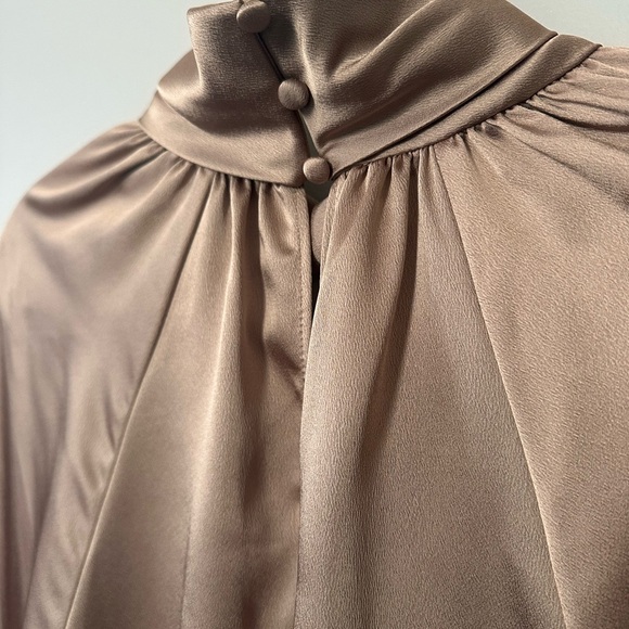 Zara Satin Tan Blouse - Picture 5 of 6